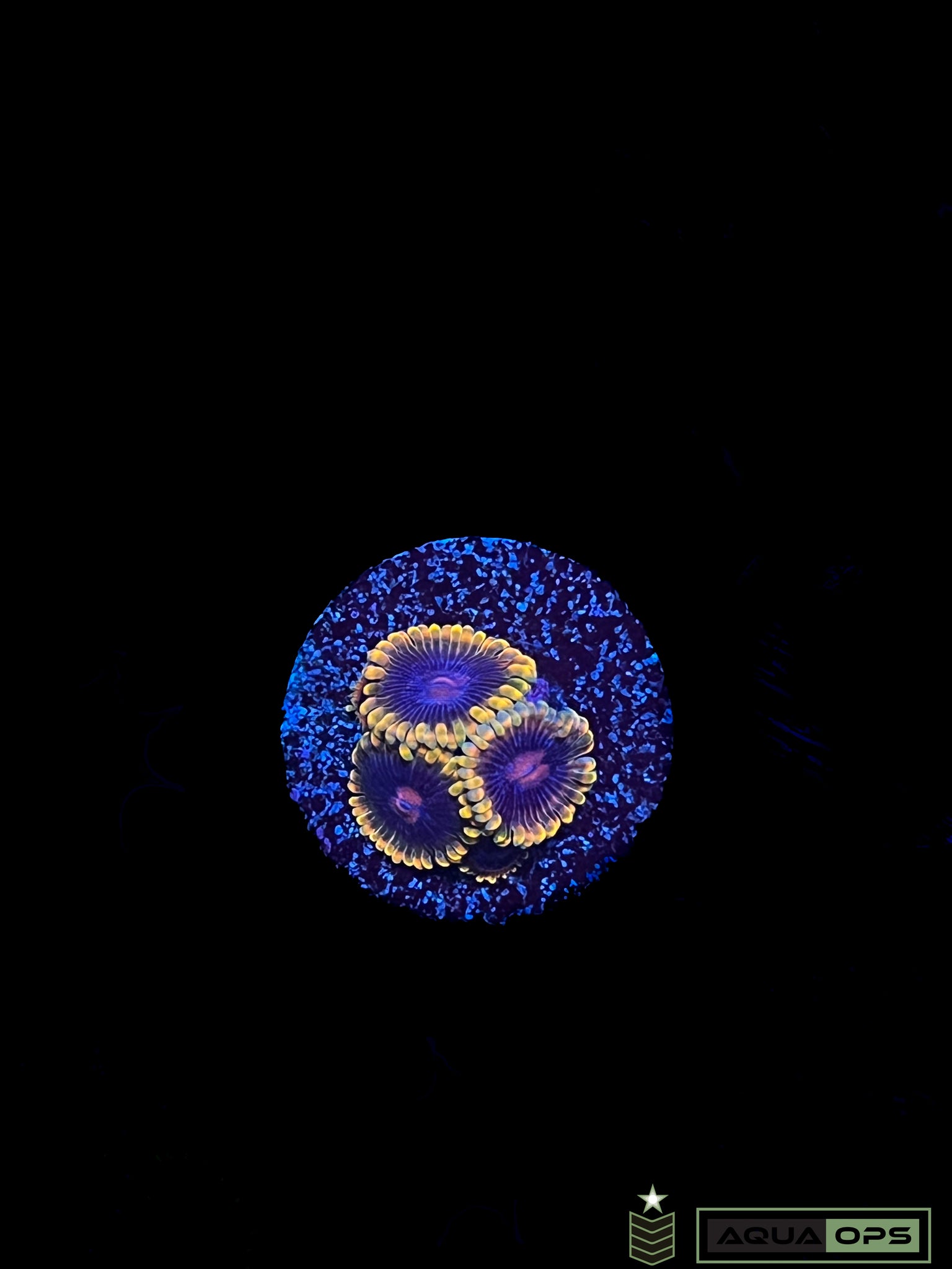Jedi Mind Trick Zoa