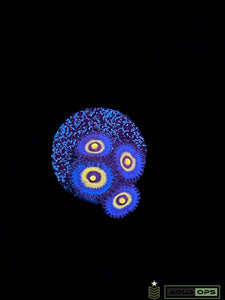 Wolverine Zoa